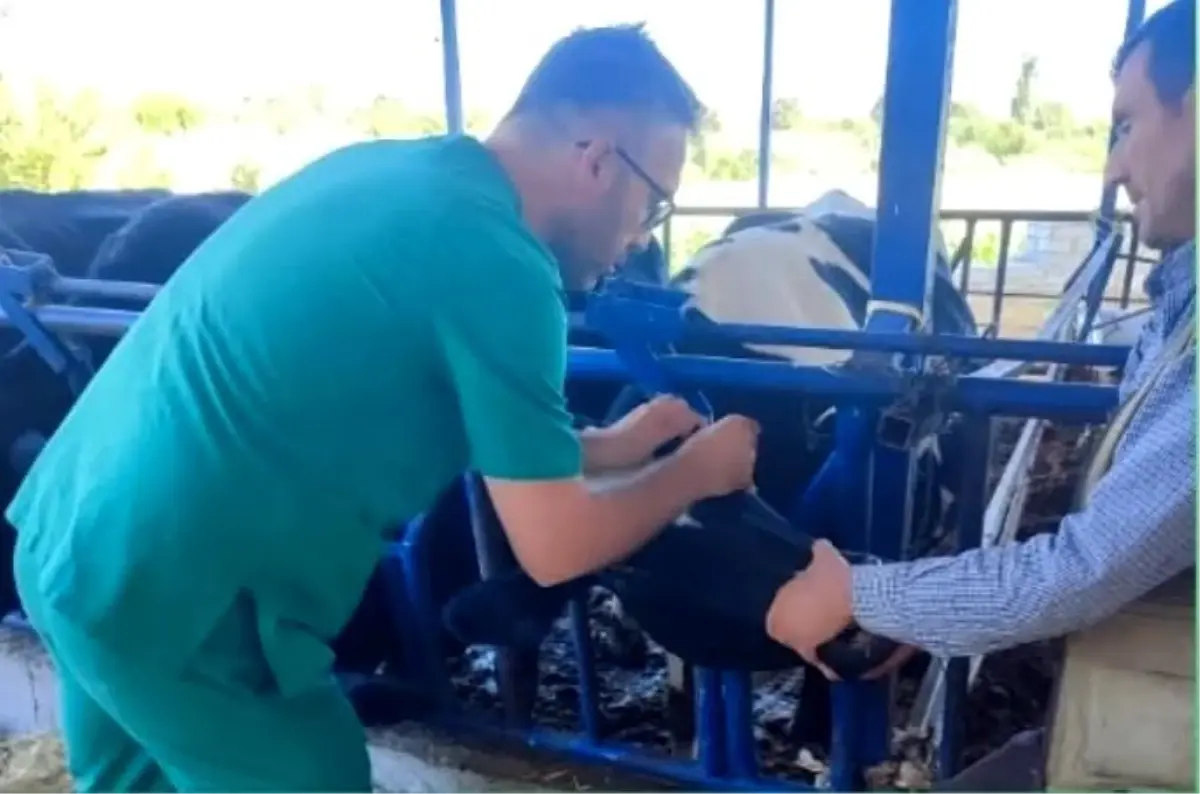 aydinda sap hastaligina karsi asi uyarisi RRlCCFnB