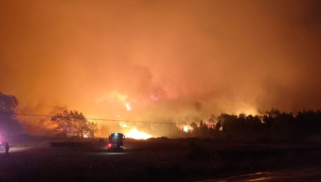 bursada orman yangini yerlesim yerlerine ilerliyor Ef4CKABx