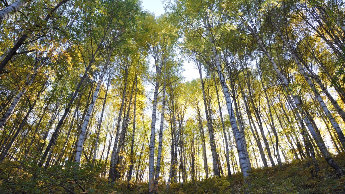 erzincanin daglari sonbahar guzelligiyle buyuluyor UnI1FVZB.jpg