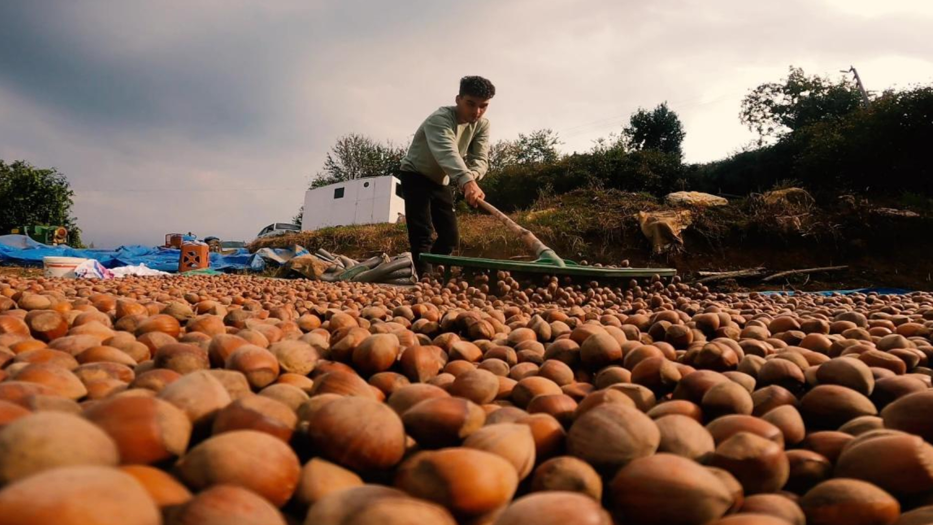 turkiye findik ihracatindan 9 ayda 16 milyar dolari askin gelir sagladi Q3u1PU2v.jpg